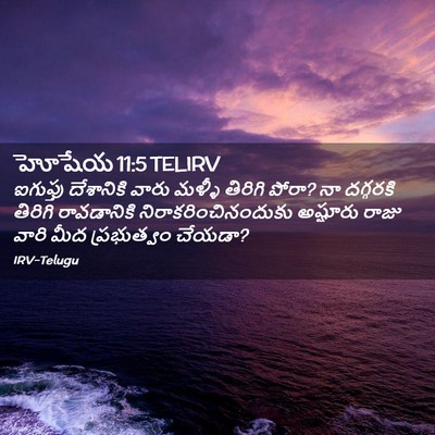 Picture 02 - హోషేయ 11:5 TELIRV - ఐగుప్తు దేశానికి - Bible Verse Picture