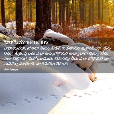 Picture 02 - హోషేయ 11:8 TELIRV - ఎఫ్రాయిమూ, నేనెలా - Bible Verse Picture