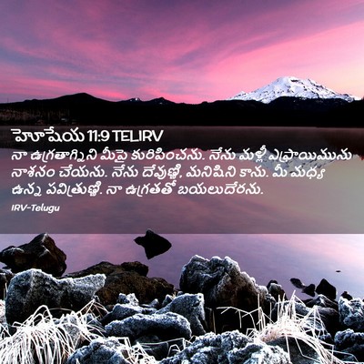 Picture 02 - హోషేయ 11:9 TELIRV - నా ఉగ్రతాగ్నిని - Bible Verse Picture