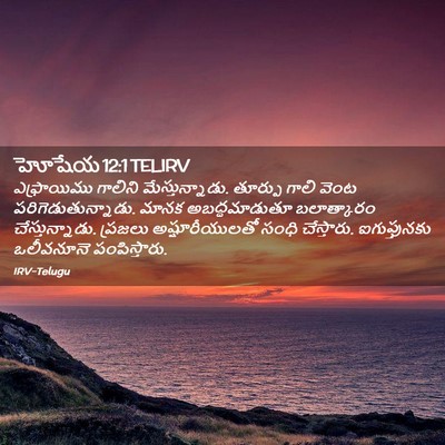 Picture 02 - హోషేయ 12:1 TELIRV - ఎఫ్రాయిము గాలిని - Bible Verse Picture