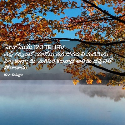 Picture 02 - హోషేయ 12:3 TELIRV - తల్లి గర్భంలో - Bible Verse Picture