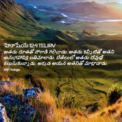 Picture 02 - హోషేయ 12:4 TELIRV - అతడు దూతతో పోరాడి - Bible Verse Picture
