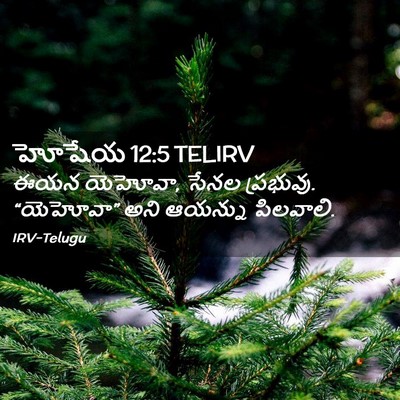 Picture 02 - హోషేయ 12:5 TELIRV - ఈయన యెహోవా, సేనల - Bible Verse Picture