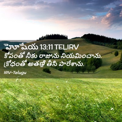 Picture 02 - హోషేయ 13:11 TELIRV - కోపంతో నీకు - Bible Verse Picture