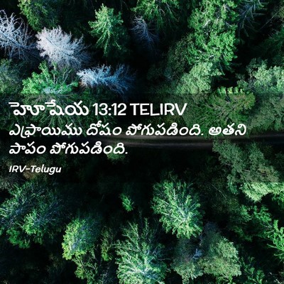 Picture 02 - హోషేయ 13:12 TELIRV - ఎఫ్రాయిము దోషం - Bible Verse Picture