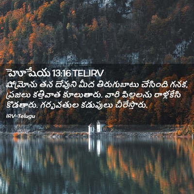 Picture 02 - హోషేయ 13:16 TELIRV - షోమ్రోను తన - Bible Verse Picture
