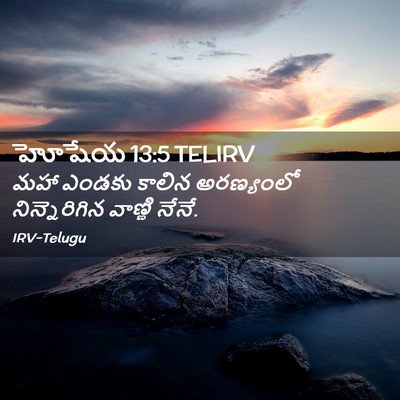 Picture 02 - హోషేయ 13:5 TELIRV - మహా ఎండకు కాలిన - Bible Verse Picture
