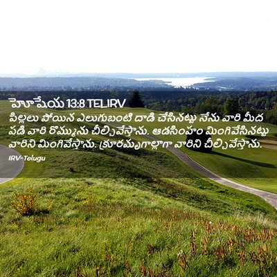Picture 02 - హోషేయ 13:8 TELIRV - పిల్లలు పోయిన - Bible Verse Picture