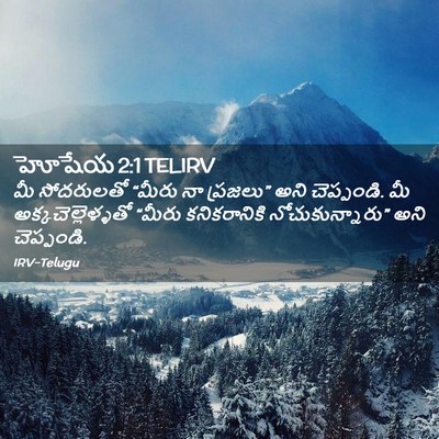 Picture 02 - హోషేయ 2:1 TELIRV - మీ సోదరులతో “మీరు - Bible Verse Picture