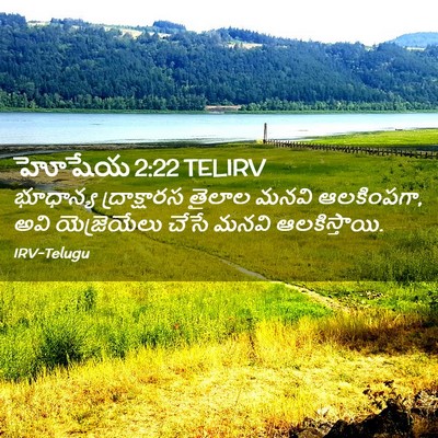 Picture 02 - హోషేయ 2:22 TELIRV - భూధాన్య - Bible Verse Picture