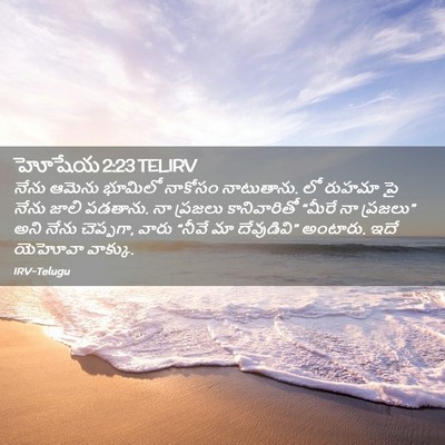 Picture 02 - హోషేయ 2:23 TELIRV - నేను ఆమెను భూమిలో - Bible Verse Picture