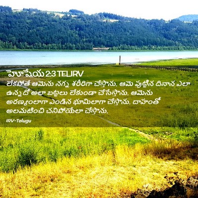 Picture 02 - హోషేయ 2:3 TELIRV - లేకపోతే ఆమెను - Bible Verse Picture