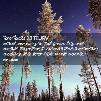 Picture 02 - హోషేయ 3:3 TELIRV - ఆమెతో ఇలా అన్నాను. - Bible Verse Picture