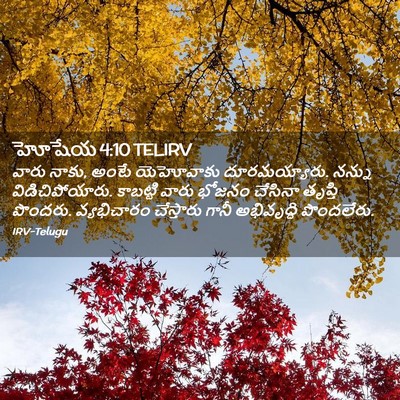 Picture 02 - హోషేయ 4:10 TELIRV - వారు నాకు, అంటే - Bible Verse Picture