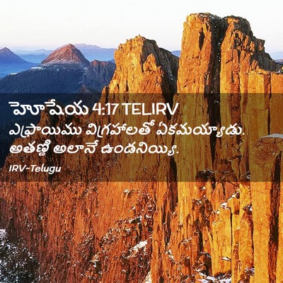 Picture 02 - హోషేయ 4:17 TELIRV - ఎఫ్రాయిము - Bible Verse Picture