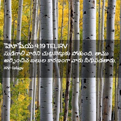 Picture 02 - హోషేయ 4:19 TELIRV - సుడిగాలి వారిని - Bible Verse Picture