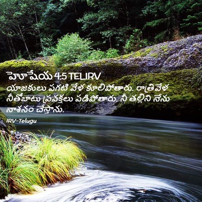 Picture 02 - హోషేయ 4:5 TELIRV - యాజకులు పగటి వేళ - Bible Verse Picture