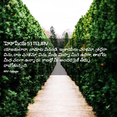 Picture 02 - హోషేయ 5:1 TELIRV - యాజకులారా, నామాట - Bible Verse Picture
