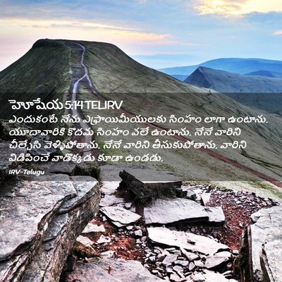 Picture 02 - హోషేయ 5:14 TELIRV - ఎందుకంటే నేను - Bible Verse Picture