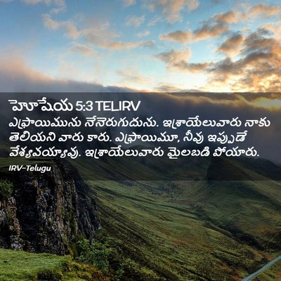 Picture 02 - హోషేయ 5:3 TELIRV - ఎఫ్రాయిమును - Bible Verse Picture