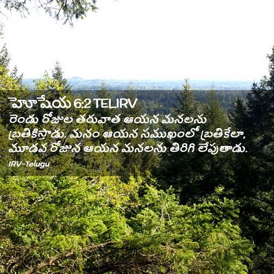 Picture 02 - హోషేయ 6:2 TELIRV - రెండు రోజుల - Bible Verse Picture