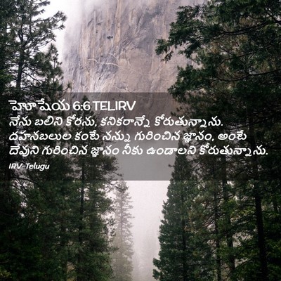 Picture 02 - హోషేయ 6:6 TELIRV - నేను బలిని కోరను, - Bible Verse Picture