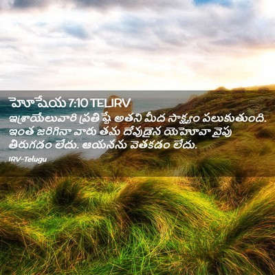 Picture 02 - హోషేయ 7:10 TELIRV - ఇశ్రాయేలువారి - Bible Verse Picture