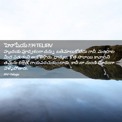 Picture 02 - హోషేయ 7:14 TELIRV - హృదయ పూర్వకంగా - Bible Verse Picture