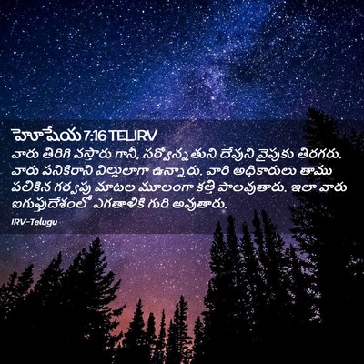 Picture 02 - హోషేయ 7:16 TELIRV - వారు తిరిగి - Bible Verse Picture