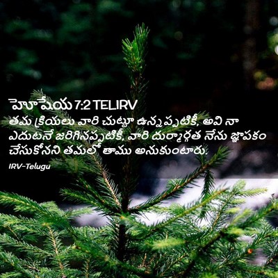 Picture 02 - హోషేయ 7:2 TELIRV - తమ క్రియలు వారి - Bible Verse Picture