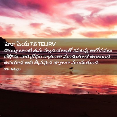 Picture 02 - హోషేయ 7:6 TELIRV - పొయ్యి లాంటి తమ - Bible Verse Picture
