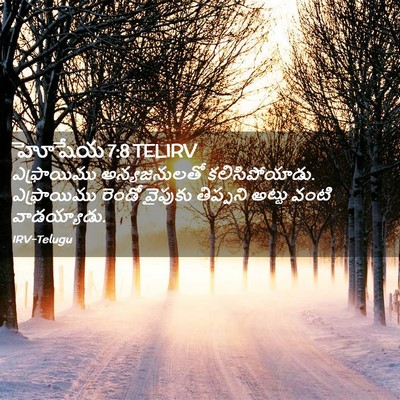 Picture 02 - హోషేయ 7:8 TELIRV - ఎఫ్రాయిము - Bible Verse Picture