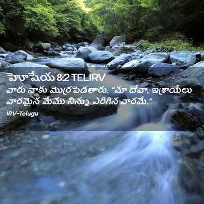 Picture 02 - హోషేయ 8:2 TELIRV - వారు నాకు - Bible Verse Picture