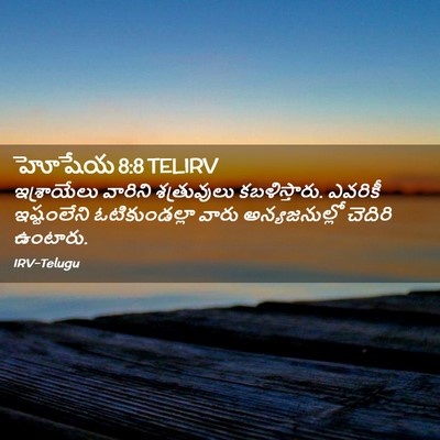 Picture 02 - హోషేయ 8:8 TELIRV - ఇశ్రాయేలు వారిని - Bible Verse Picture