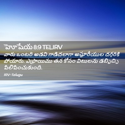 Picture 02 - హోషేయ 8:9 TELIRV - వారు ఒంటరి అడవి - Bible Verse Picture