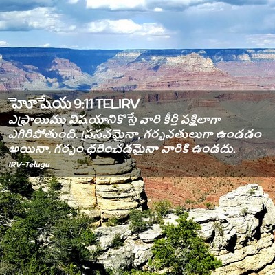Picture 02 - హోషేయ 9:11 TELIRV - ఎఫ్రాయిము - Bible Verse Picture