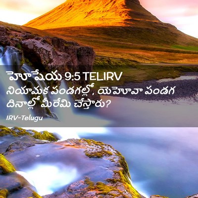 Picture 02 - హోషేయ 9:5 TELIRV - నియామక పండగల్లో, - Bible Verse Picture