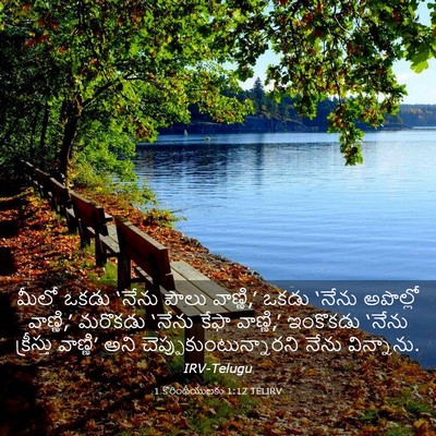 Picture 03 - 1 కొరింథీయులకు 1:12 TELIRV - మీలో ఒకడు ‘నేను - Bible Verse Picture