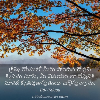 Picture 03 - 1 కొరింథీయులకు 1:4 TELIRV - క్రీస్తు యేసులో - Bible Verse Picture