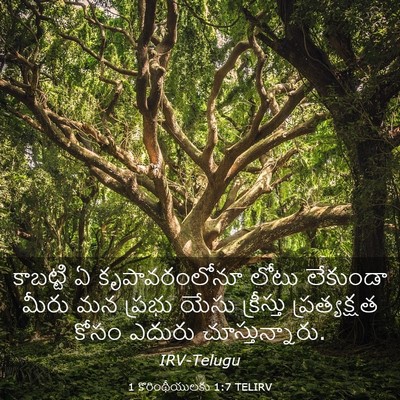 Picture 03 - 1 కొరింథీయులకు 1:7 TELIRV - కాబట్టి ఏ - Bible Verse Picture