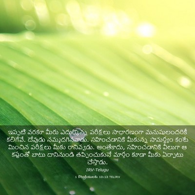 Picture 03 - 1 కొరింథీయులకు 10:13 TELIRV - ఇప్పటి వరకూ మీరు - Bible Verse Picture