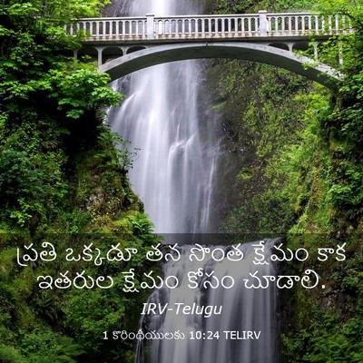 Picture 03 - 1 కొరింథీయులకు 10:24 TELIRV - ప్రతి ఒక్కడూ తన - Bible Verse Picture