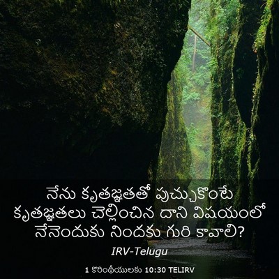 Picture 03 - 1 కొరింథీయులకు 10:30 TELIRV - నేను కృతజ్ఞతతో - Bible Verse Picture
