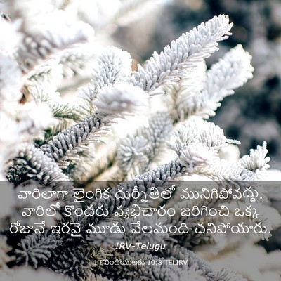 Picture 03 - 1 కొరింథీయులకు 10:8 TELIRV - వారిలాగా లైంగిక - Bible Verse Picture