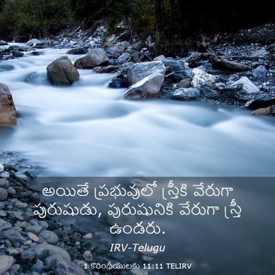 Picture 03 - 1 కొరింథీయులకు 11:11 TELIRV - అయితే ప్రభువులో - Bible Verse Picture