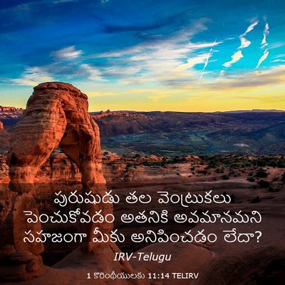 Picture 03 - 1 కొరింథీయులకు 11:14 TELIRV - పురుషుడు తల - Bible Verse Picture