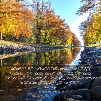 Picture 03 - 1 కొరింథీయులకు 11:22 TELIRV - ఏమిటిది? తిని - Bible Verse Picture