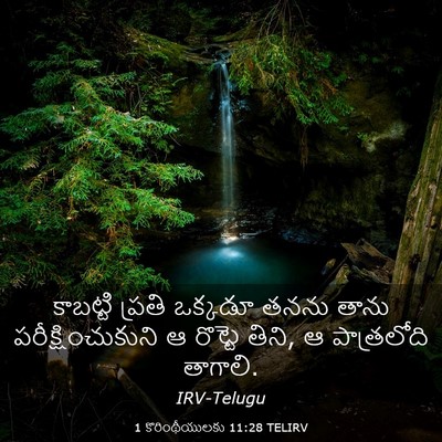 Picture 03 - 1 కొరింథీయులకు 11:28 TELIRV - కాబట్టి ప్రతి - Bible Verse Picture
