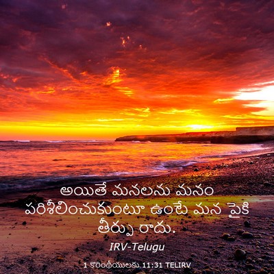 Picture 03 - 1 కొరింథీయులకు 11:31 TELIRV - అయితే మనలను మనం - Bible Verse Picture