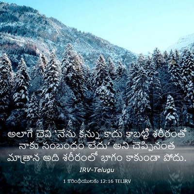 Picture 03 - 1 కొరింథీయులకు 12:16 TELIRV - అలాగే చెవి ‘నేను - Bible Verse Picture